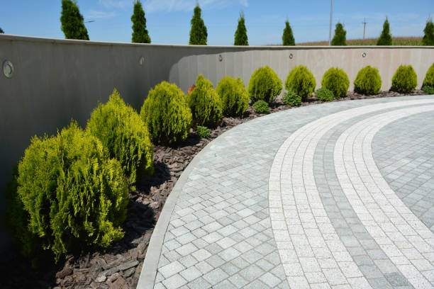 Best Best Driveway Pavers  in Cohasset, MN